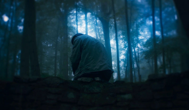 глазами пса фильм 2025 смысл