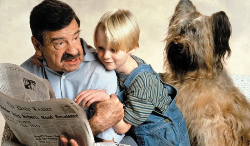 фильмы похожие на один дома 3