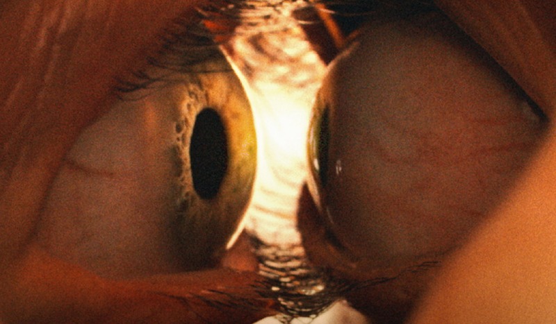 смысл фильма одно целое