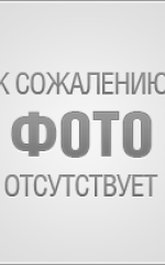 Fatima Basaric